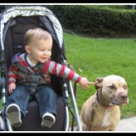 My friend Riley, the Staffordshire Terrier with his "brother" Mason